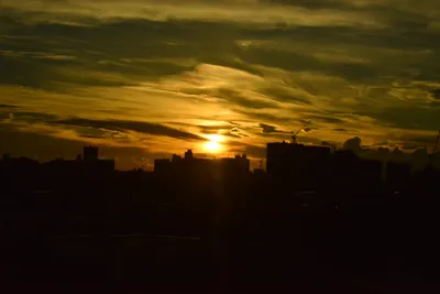 DSC_3807 (Large).JPG